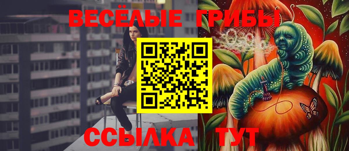Псилоцибиновые грибы Magic Shrooms Вичуга